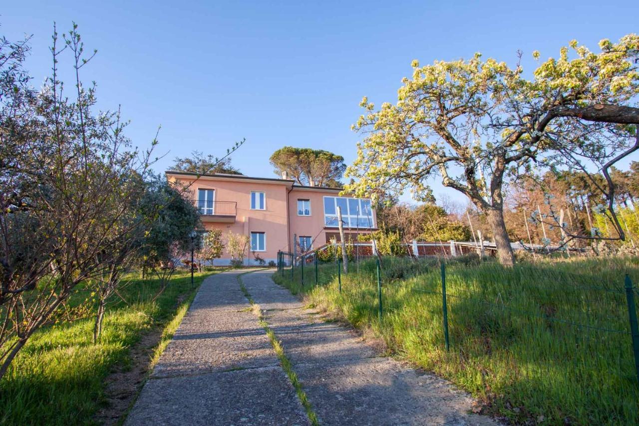 La Camelia Bianca B&B Lerici Exteriér fotografie